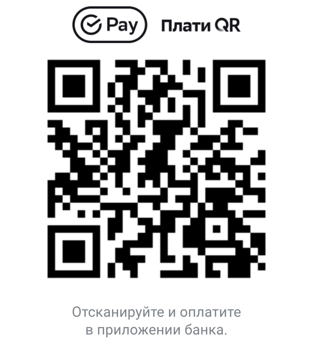 QR-код для оплаты через Ozon Pay